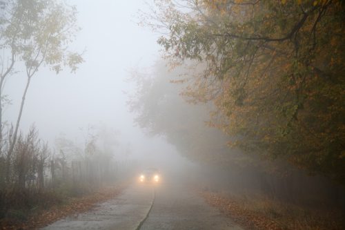 Januarska poslanica za Jovu Kneževića